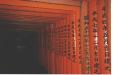 inari1